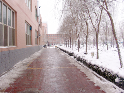 新学期全院教职工清扫校园积雪