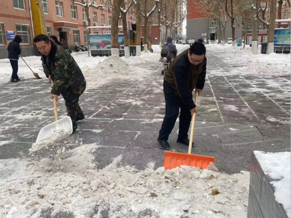 保定理工学院||管理学院||党员先锋在行动 清雪除冰传温情