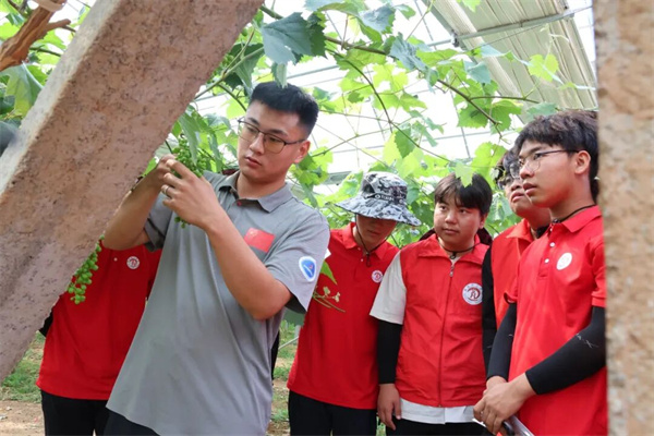 经济学院开展“财经助农·产业赋能”乡村振兴实践活动