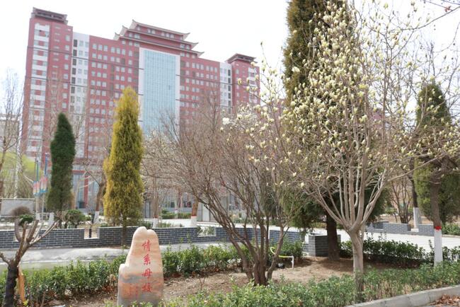 来自西部计划志愿者孟雪梅同学的心声---经济学院优秀毕业生我们在路上系列（二）