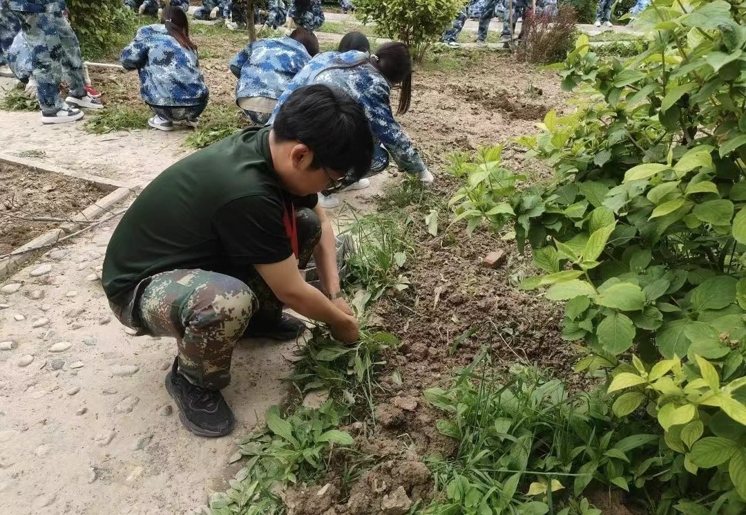 保理会计学院五月劳动月,身体力先行