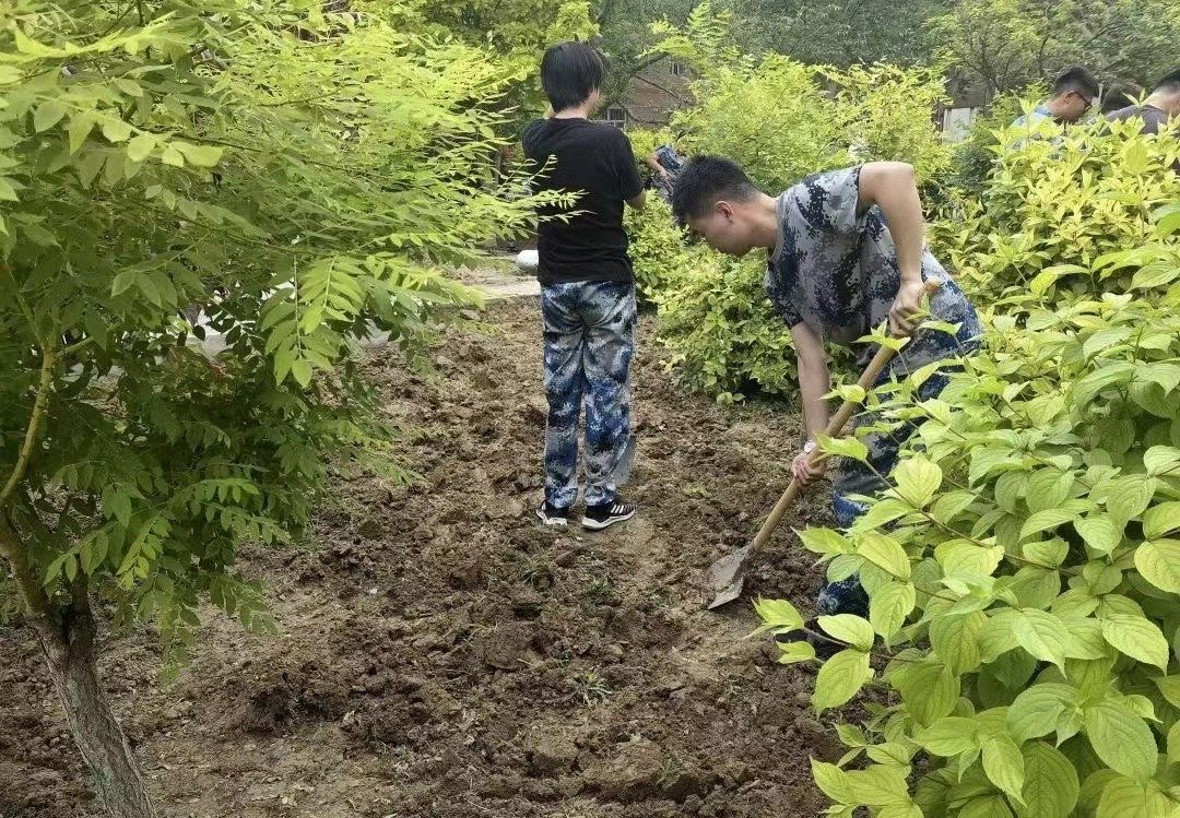 保理会计学院五月劳动月,身体力先行