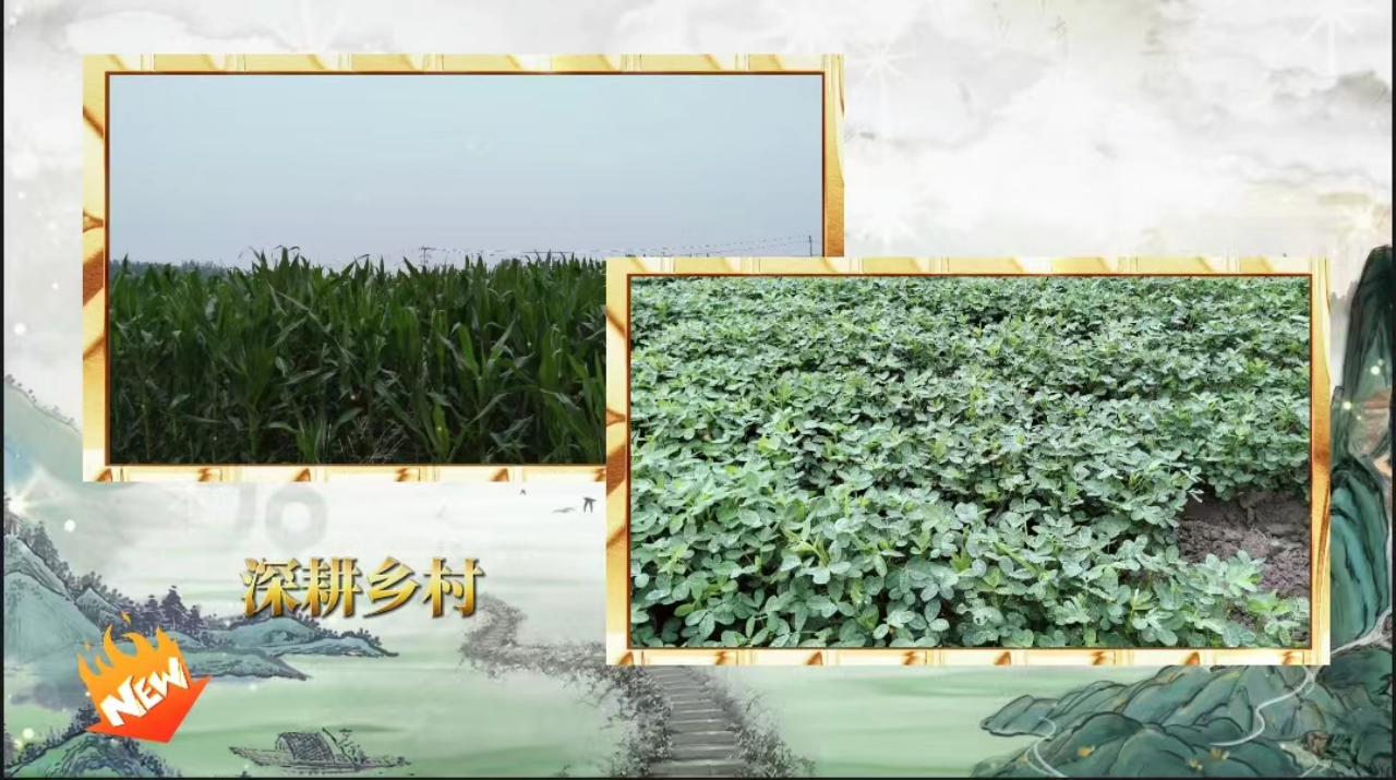 社会实践(八)|助力乡村振兴,绽放青春风采——保定理工学院教育学院暑期“三下乡”实践活动