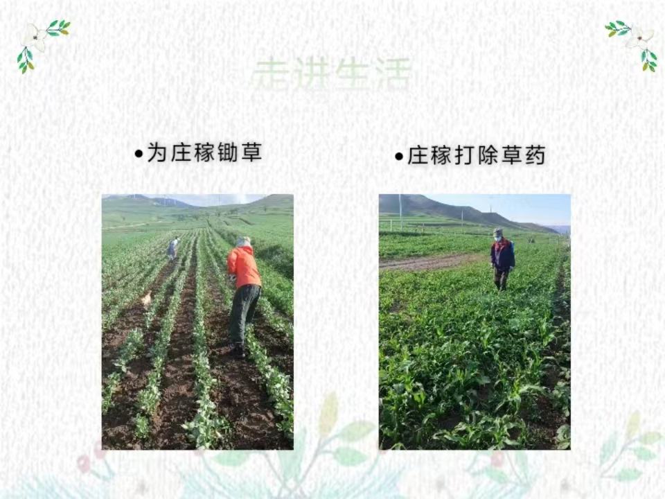 社会实践(八)|助力乡村振兴,绽放青春风采——保定理工学院教育学院暑期“三下乡”实践活动