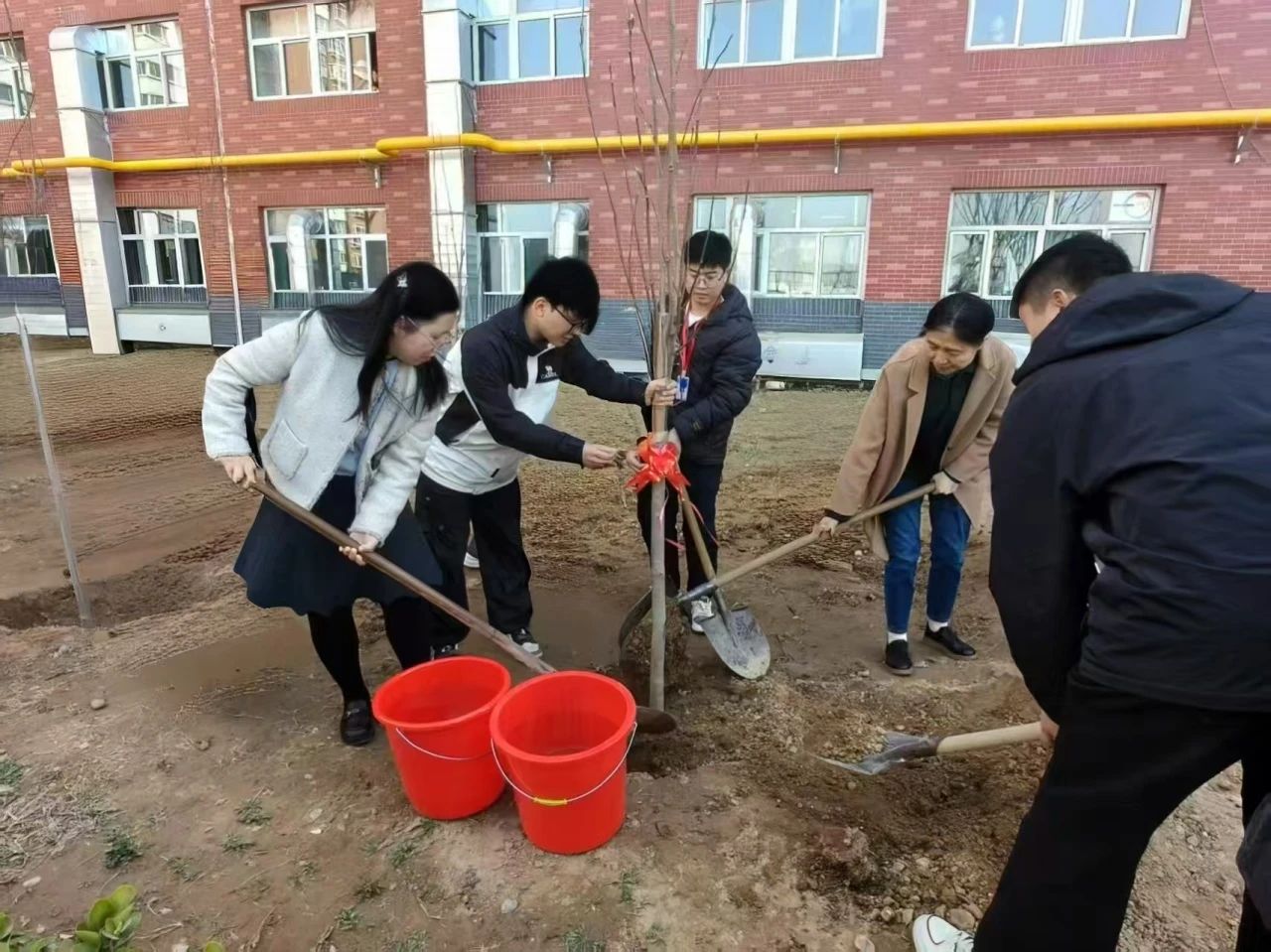 浇洒青春绿韵，育化教育新光