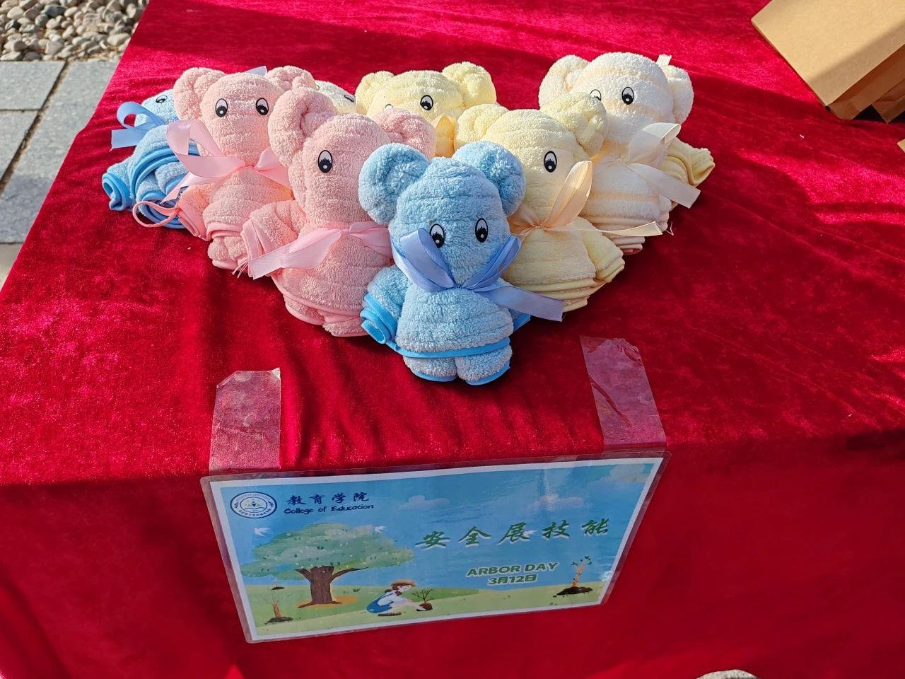 浇洒青春绿韵，育化教育新光