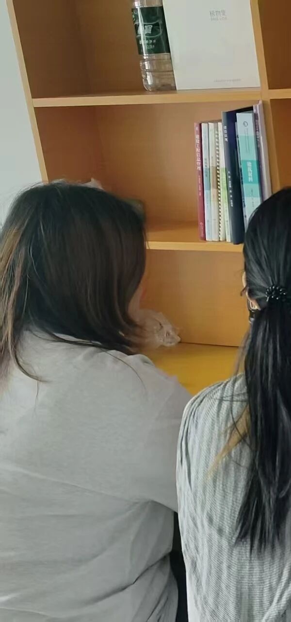 安全教育|保定理工学院管理学院开展2026年全民国家安全教育日系列活动