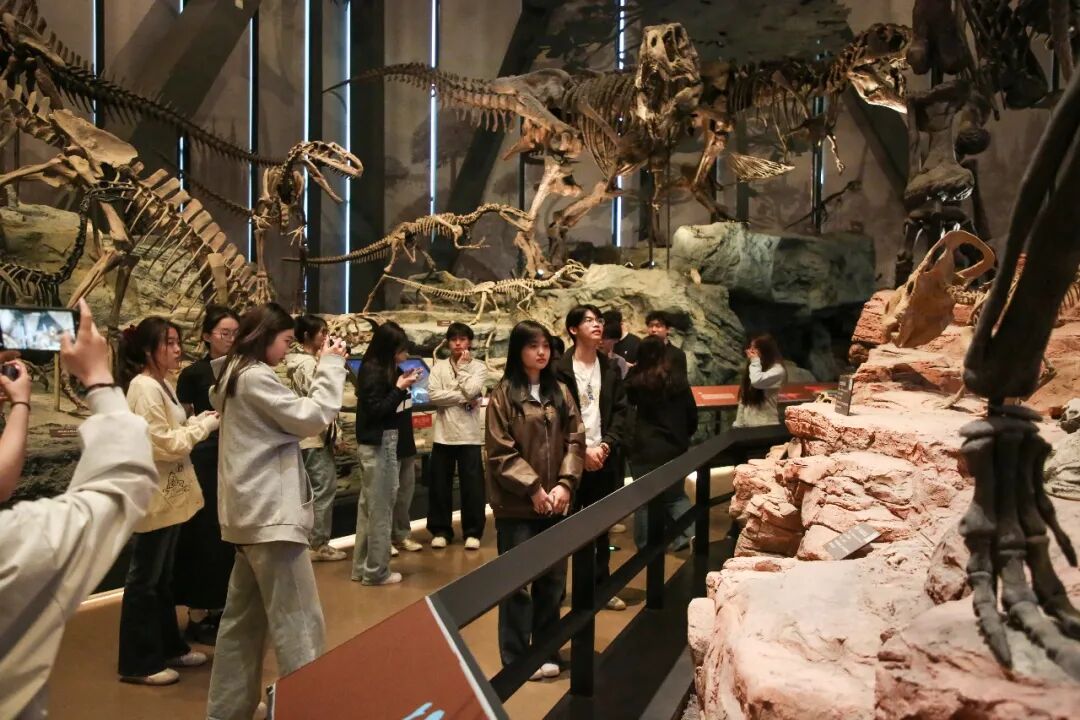 馆校研学同行 夯实地质本领｜保定理工学院师生走进中国古动物馆