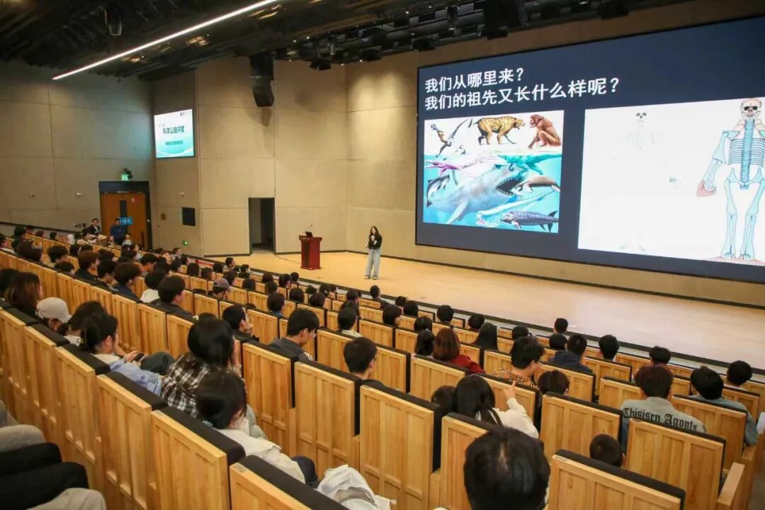 馆校研学同行 夯实地质本领｜保定理工学院师生走进中国古动物馆