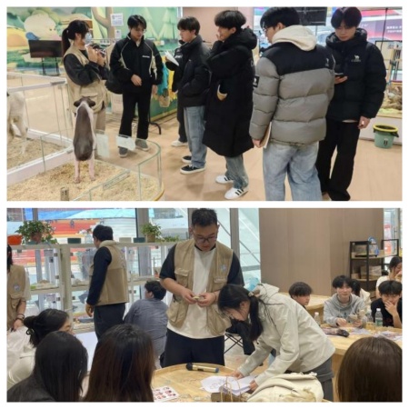 课堂进园区 设计助文旅 保定理工学院艺术学院校企实践获小象动悟公园感谢信