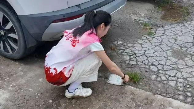 【教育学院·社会实践】躬行实践担使命,青春志愿绽芳华