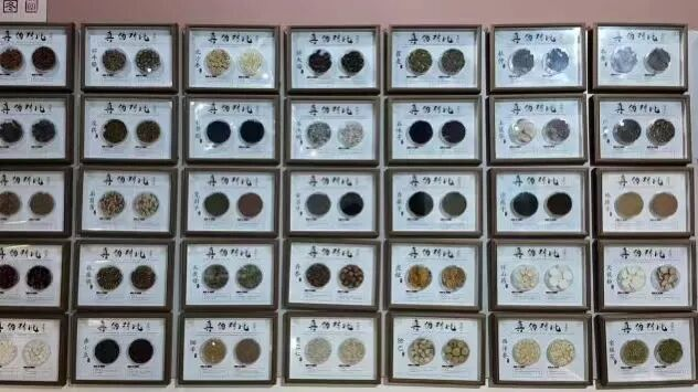 【教育学院·社会实践】躬行实践担使命,青春志愿绽芳华