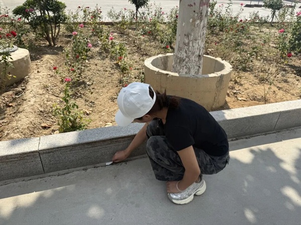 躬身践文明 聚力护校园｜保定理工学院管理学院开展“弯腰行动”，扎实推进养成教育